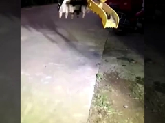 Fabbrica personalizzato nuovissimo mini escavatore idraulico secchio di presa in vendita