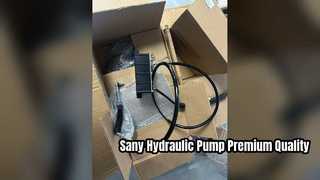 Pompa motore ventola idraulica Sany 60248398 Parti di alta qualità