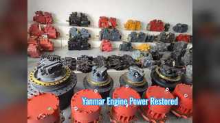 Sostituzione ad alte prestazioni del gruppo motore Yanmar 4TNV98T