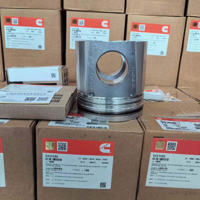 Parti del motore dell'escavatore QSC8.3 Componenti del pistone
Numero di parte 6445686 6CT 3943367 3800320 Kit di pistoni