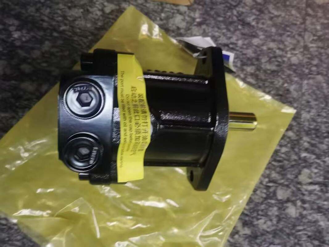 Nuova Pompa Motore Ventola Idraulica Sany 60248398 14531612 Pompe a Ingranaggi SY650 SY700 SY750 SY500 SY460 SY485 SY550 SY375